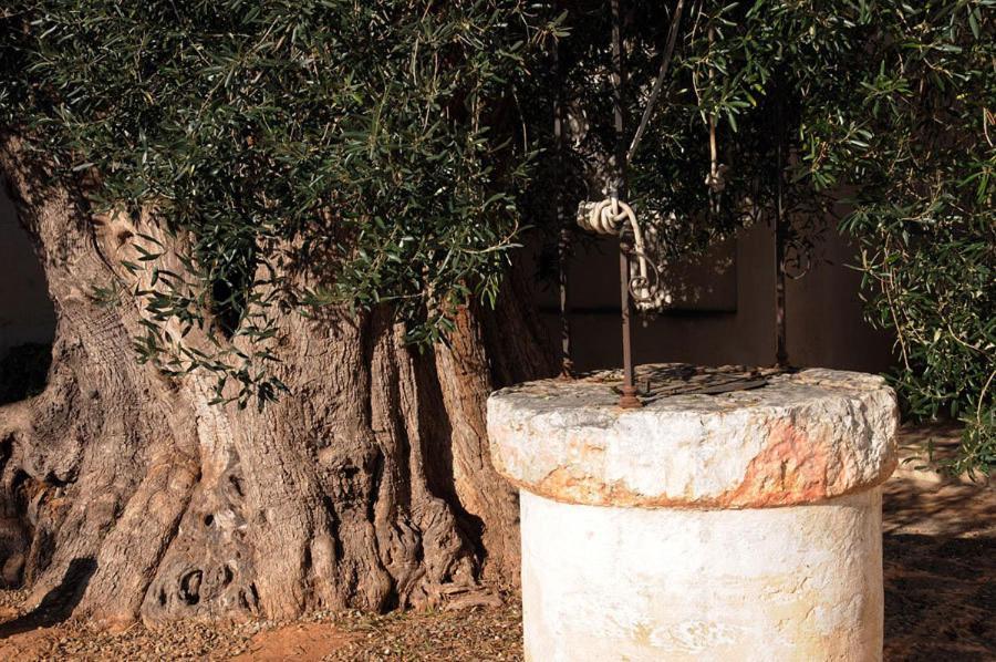 Masseria Torre Del Diamante Torre Canne Bagian luar foto