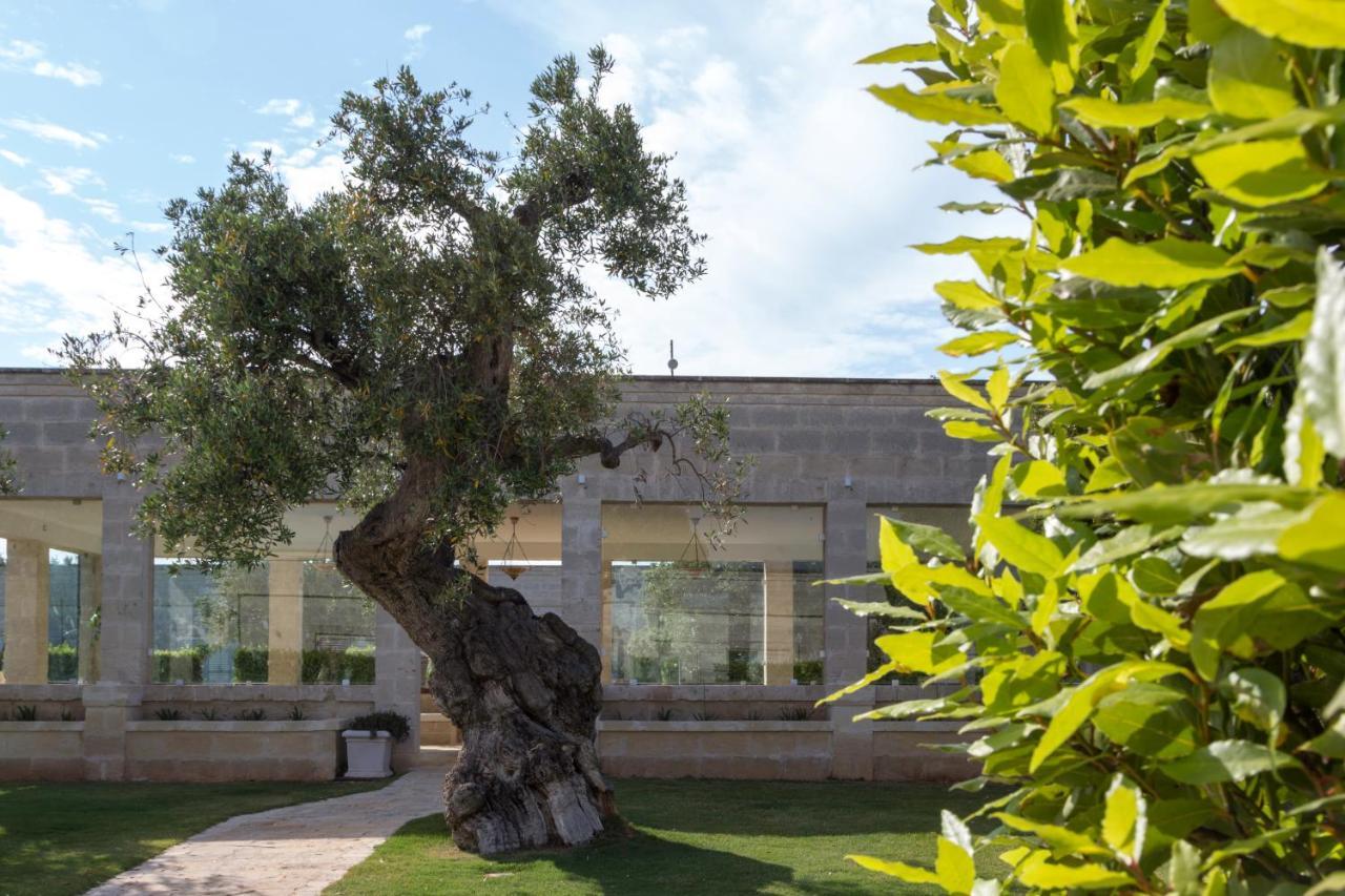 Masseria Torre Del Diamante Torre Canne Bagian luar foto