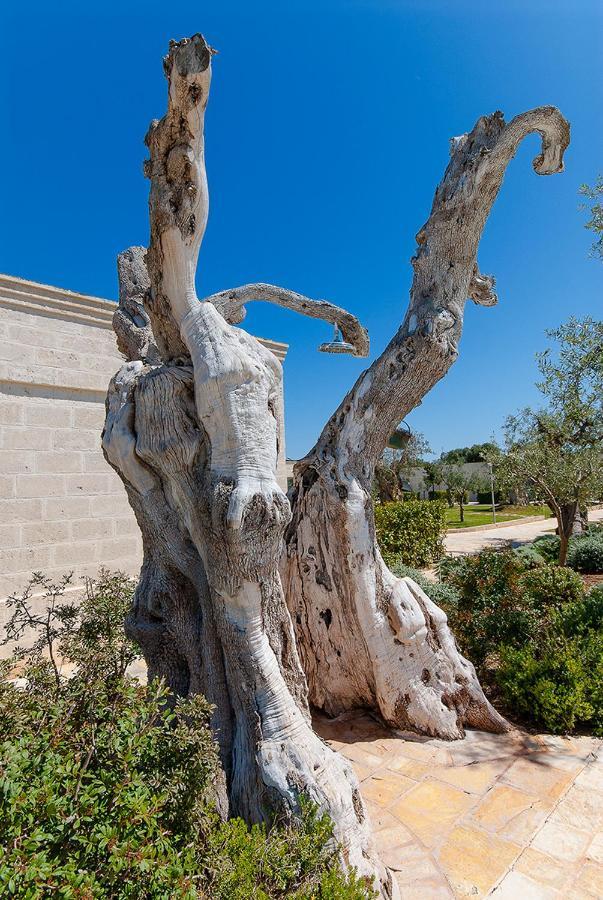 Masseria Torre Del Diamante Torre Canne Bagian luar foto