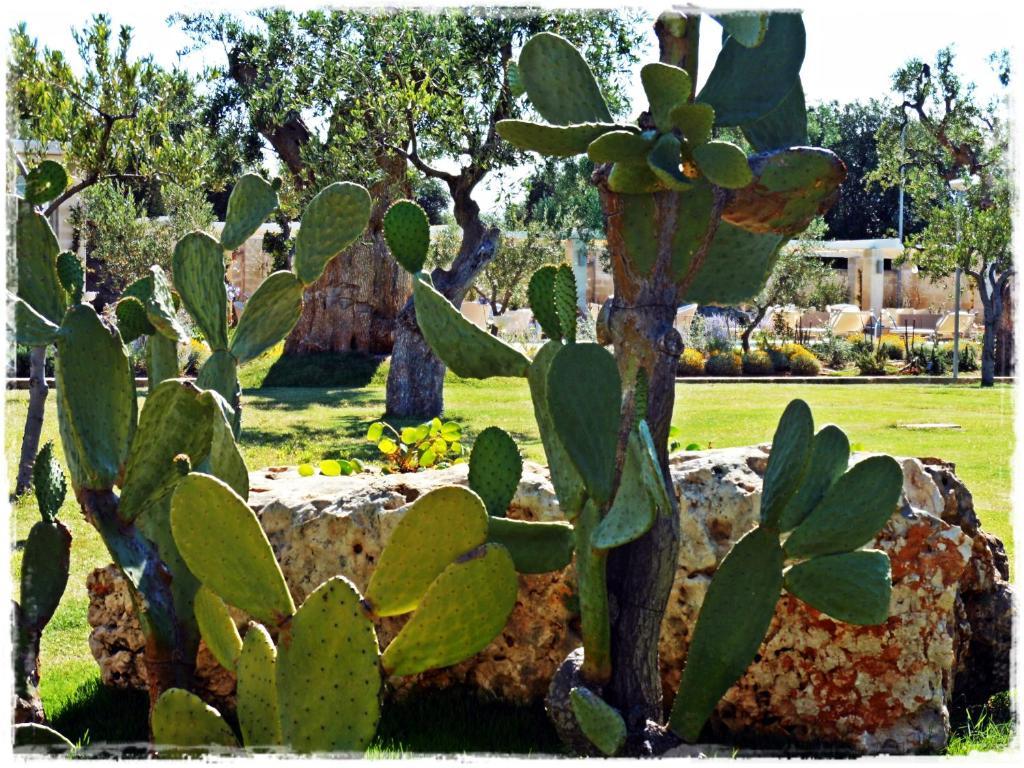 Masseria Torre Del Diamante Torre Canne Bagian luar foto