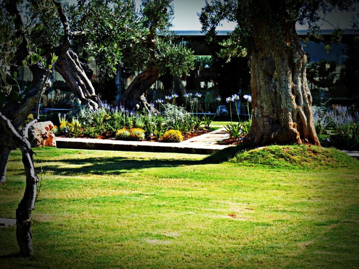 Masseria Torre Del Diamante Torre Canne Bagian luar foto